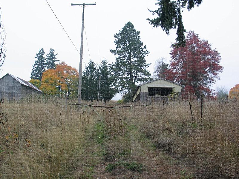 IMG_0496-Homestead.JPG