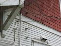 IMG_0522