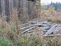IMG_0553