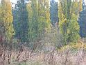 IMG_0555