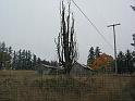 IMG_0561-endHomestead
