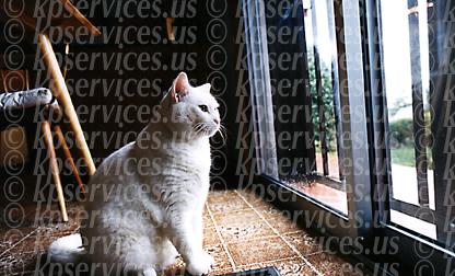 cp031-03-frosty.jpg