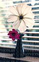 cp020-02-cosmos-vase-colorz
