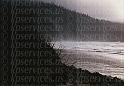 cpCOAST-Coast-mist-fujicam